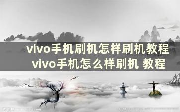 vivo手机刷机怎样刷机教程 vivo手机怎么样刷机 教程